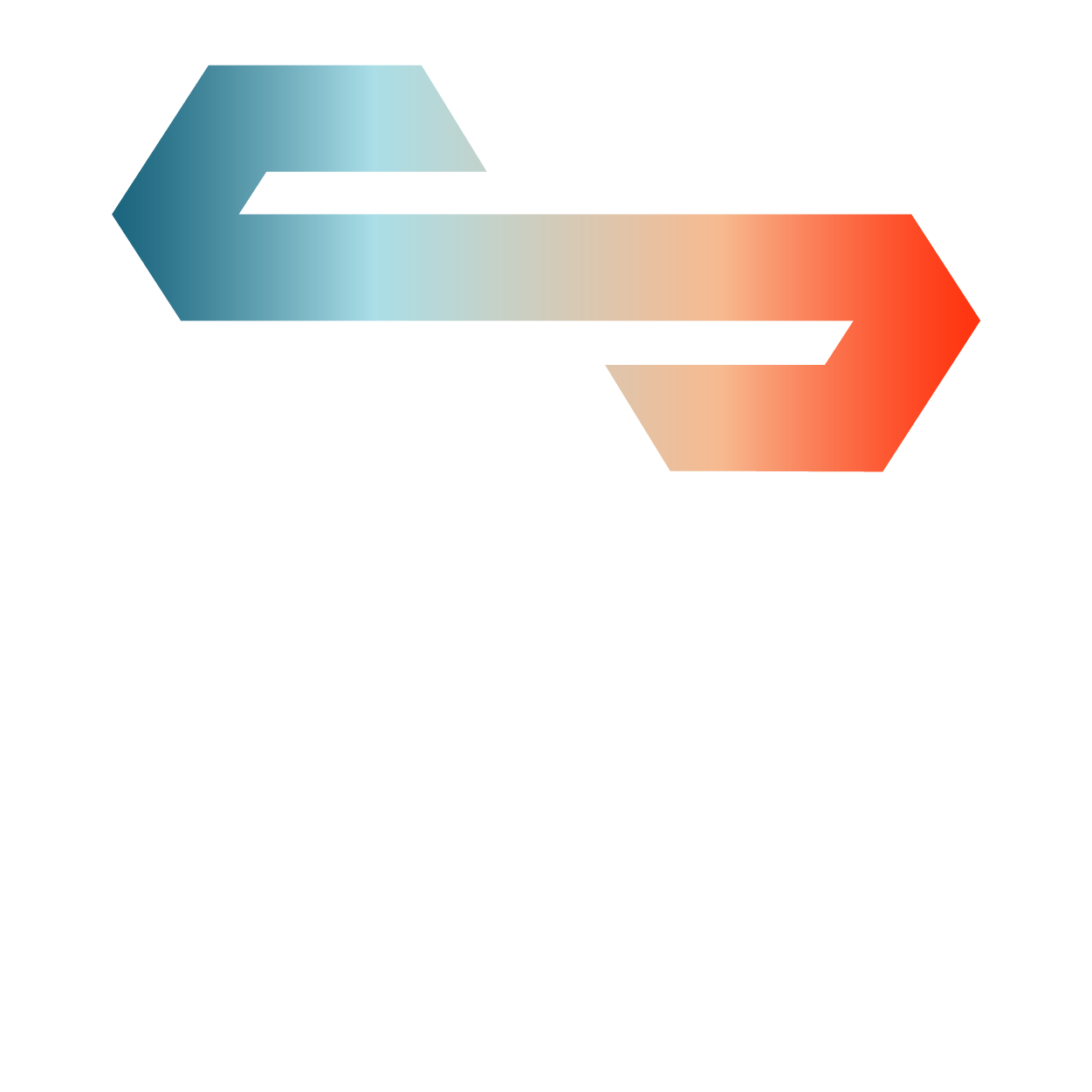 Salan Logo